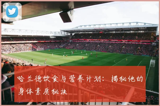 哈兰德饮食与营养计划：揭秘他的身体素质秘诀
